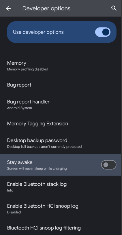 developer options